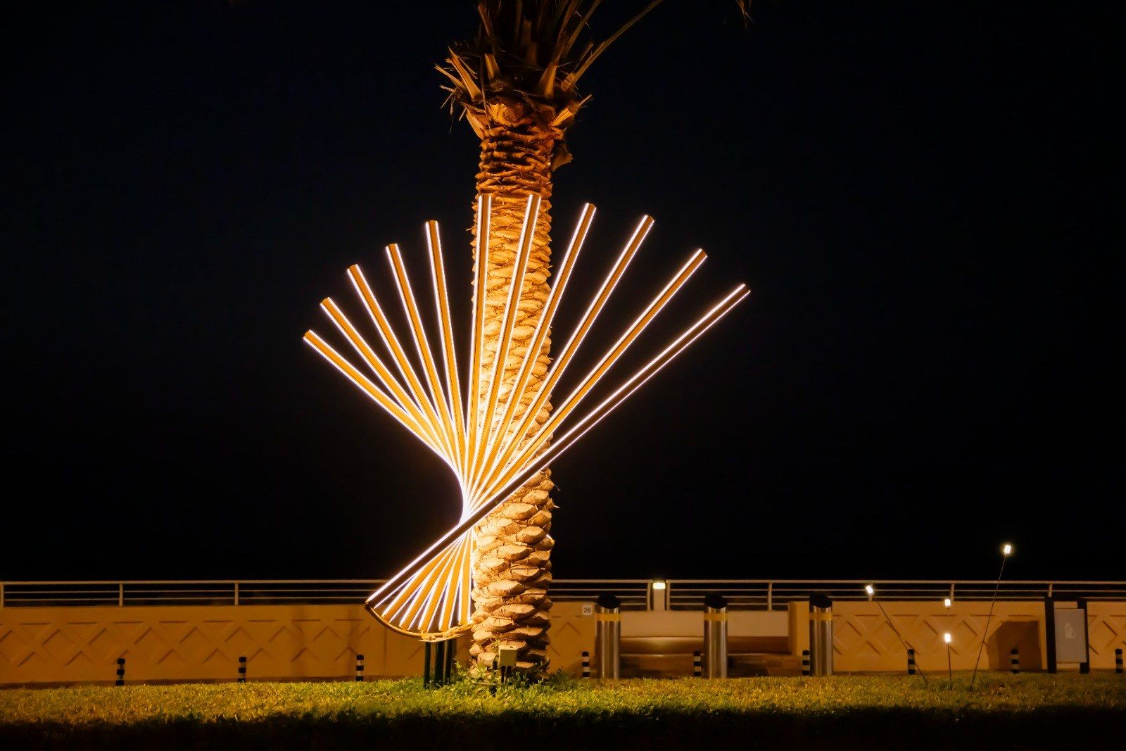 Sculptural fan of light installed by Redfox around a palm tree trunk on The Palm, Dubai, at night